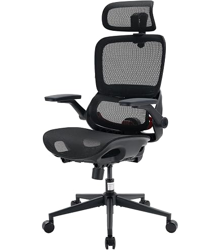 Amazon.com: SIHOO B100 PRO Ergonomic Office Chair Without Footrest